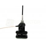 antena-president-indy-di_15958.jpg