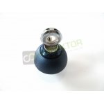 glowka-stopka-dv-niebies_10014.jpg
