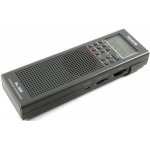 tecsun-pl-365-dsp-kompaktowy_18680.jpg