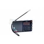 tecsun-pl-880-zaawansowa_17885.jpg